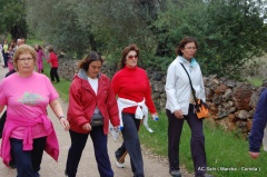 03-Marcha - Corrida-002