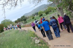 33-Marcha - Corrida-032