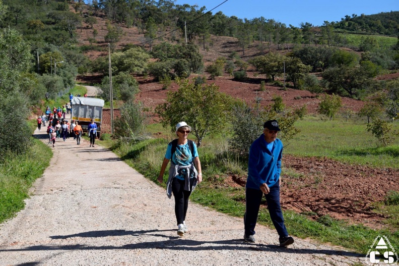 Marcha - Corrida 2017
