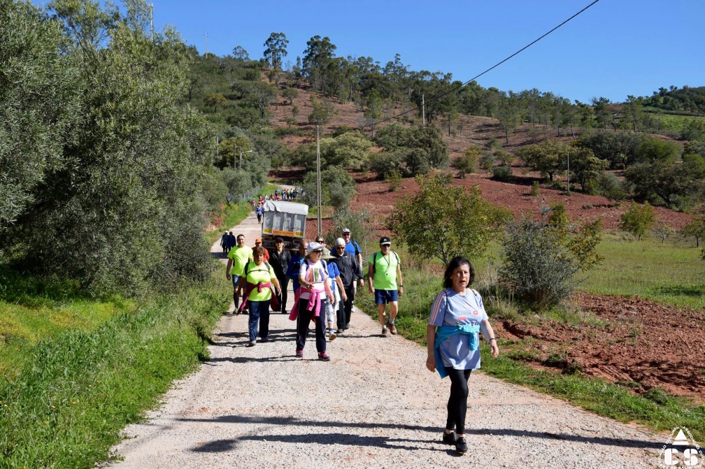 Marcha - Corrida 2017