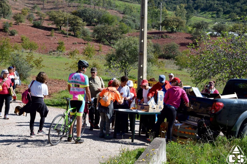 Marcha - Corrida 2017