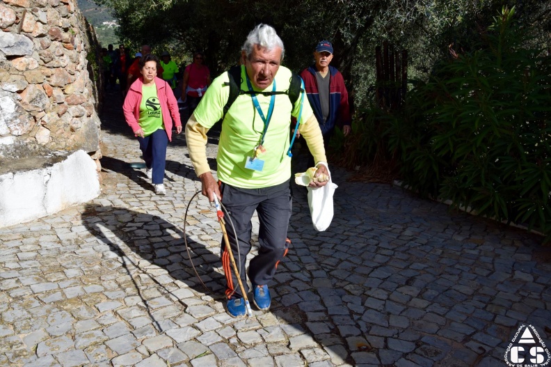 Marcha - Corrida 2017