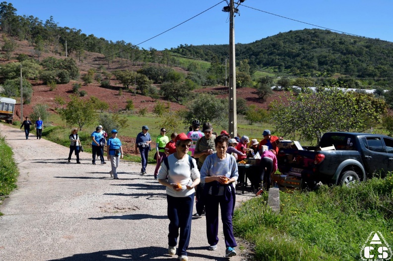 Marcha - Corrida 2017