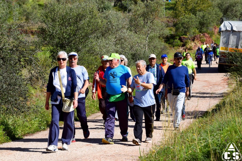 Marcha - Corrida 2017