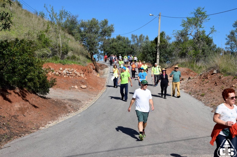 Marcha - Corrida 2017