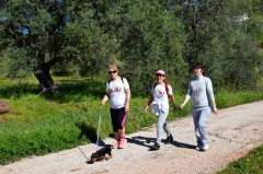 Marcha - Corrida 2017