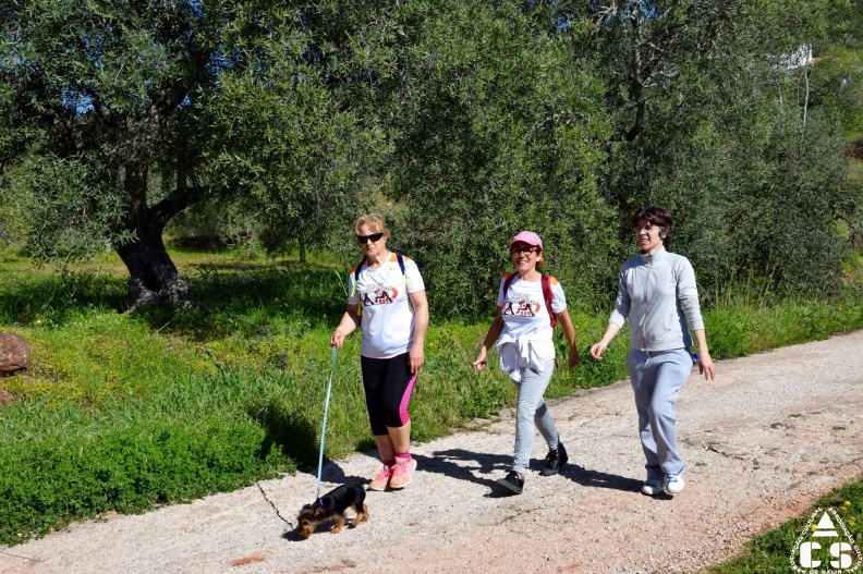 Marcha - Corrida 2017