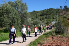 Marcha - Corrida 2017
