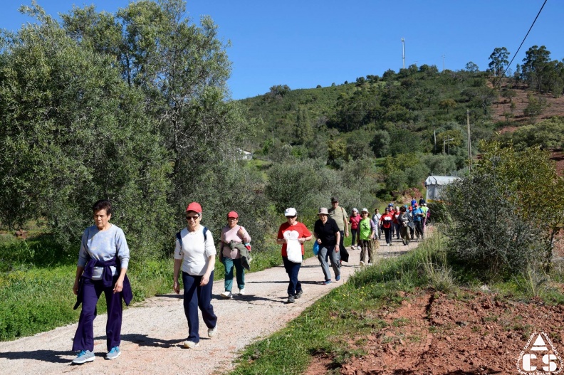Marcha - Corrida 2017