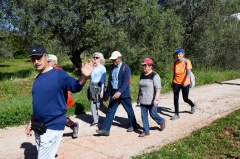 Marcha - Corrida 2017