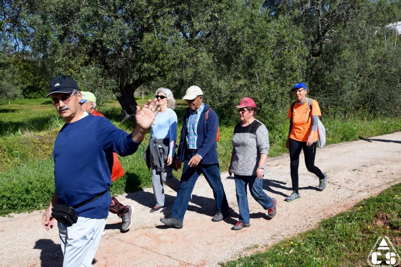 Marcha - Corrida 2017