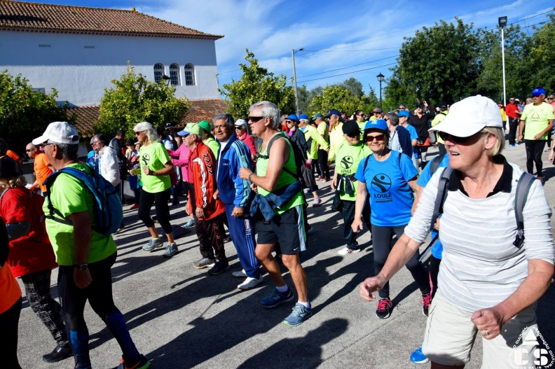 Marcha - Corrida 2017