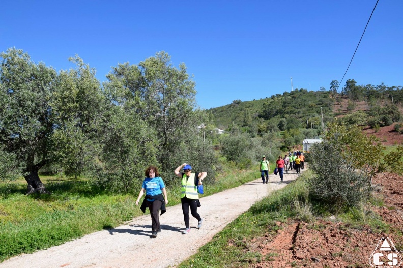 Marcha - Corrida 2017