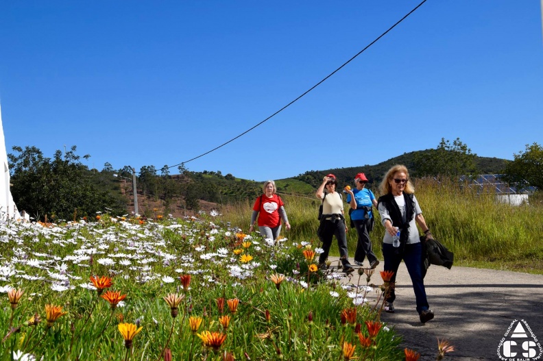 Marcha - Corrida 2017