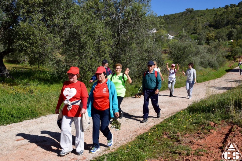 Marcha - Corrida 2017