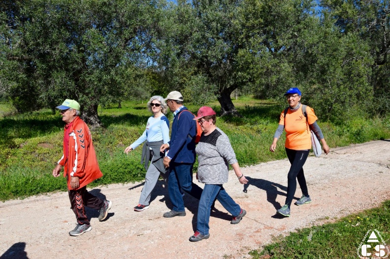 Marcha - Corrida 2017
