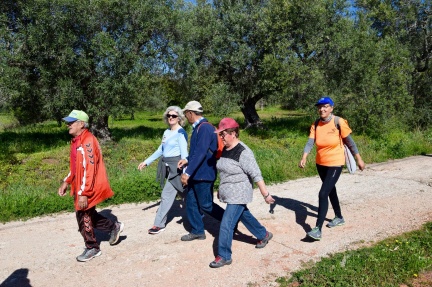 Marcha - Corrida 2017