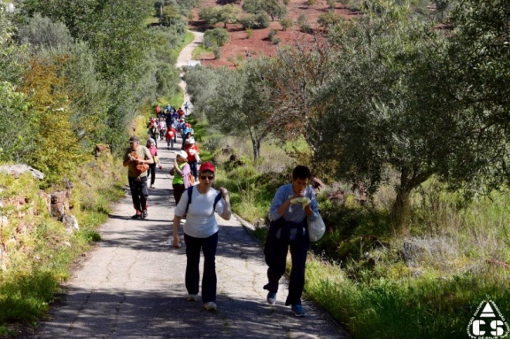 Marcha - Corrida 2017
