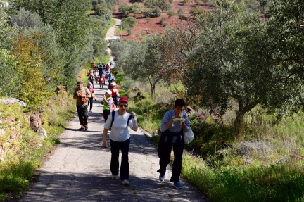 Marcha - Corrida 2017