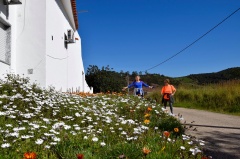 Marcha - Corrida 2017